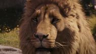 Meryl Streep is likely to be the voice of Aslan in Narnia: The Magician's Nephew. (Image via Walden Media)